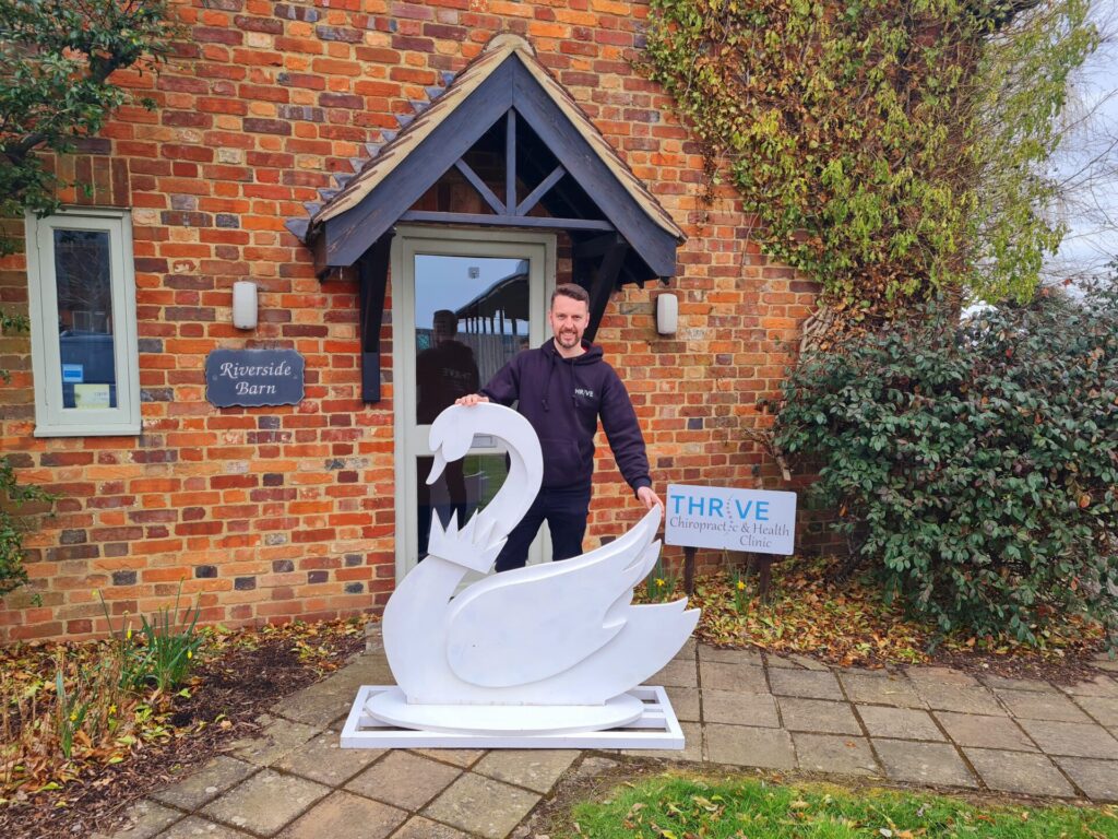 photo of a swan sculpture and a person