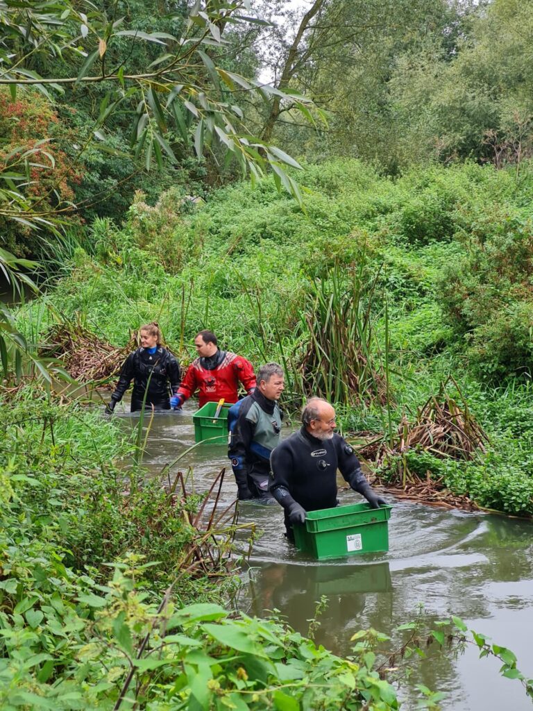 group shot of divers in the river collecting rubbish 